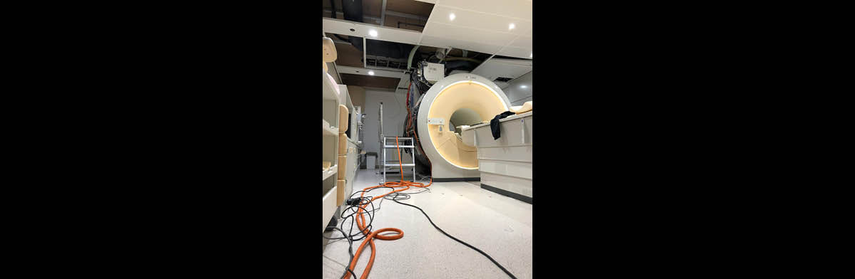 New Week - New MRI Dismantling Project